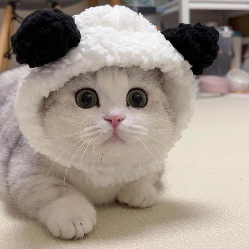 New pet hat bear plush head cover cute cat dog woven warm headdress dress up pet clothes
