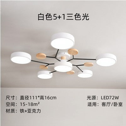 New Chinese style macaron ceiling lamp living room simple modern home atmosphere multi-head restaurant bedroom ceiling lamp